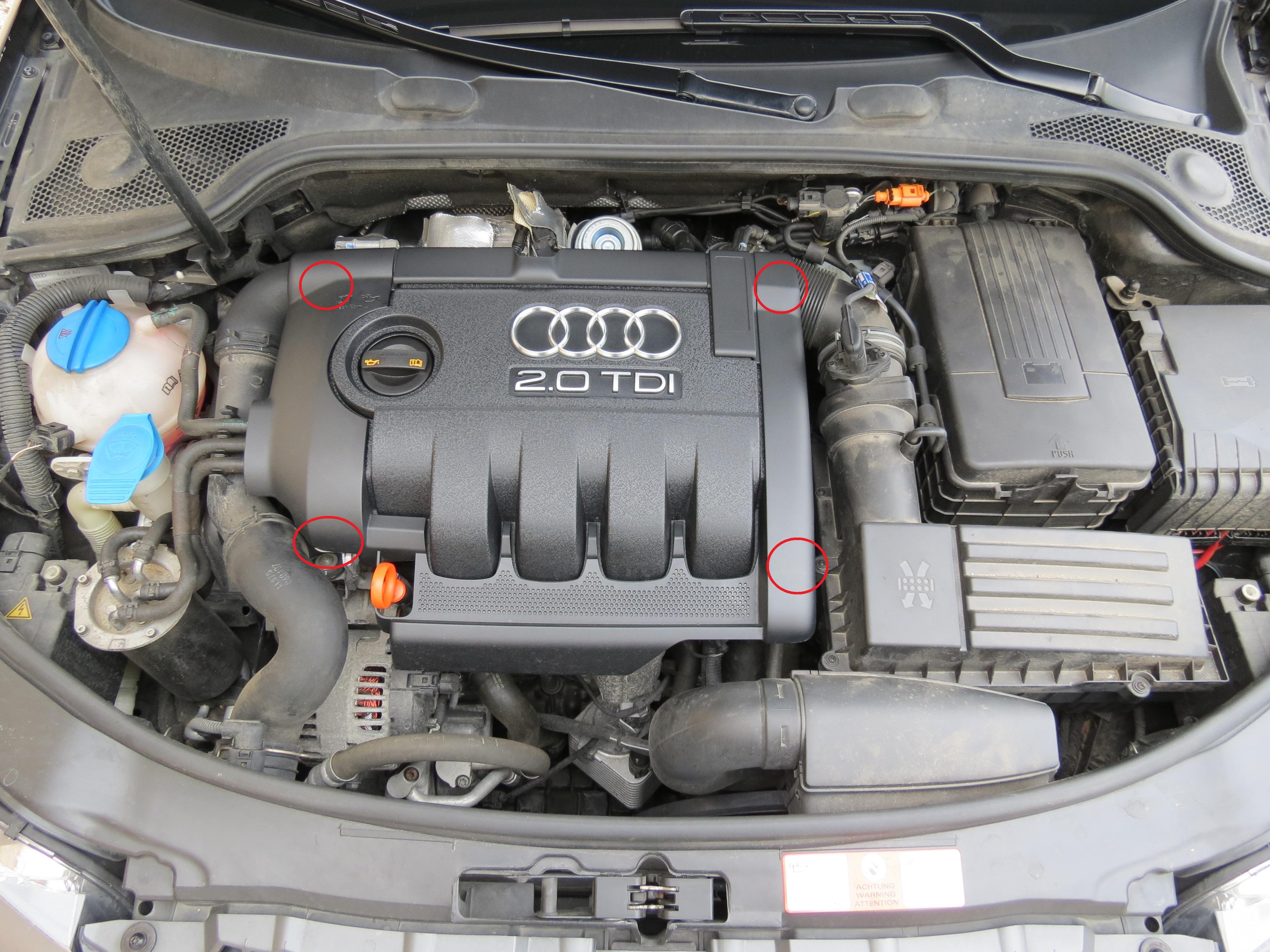 Audi A3 8p Probleme