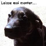 Avatar de l’utilisateur